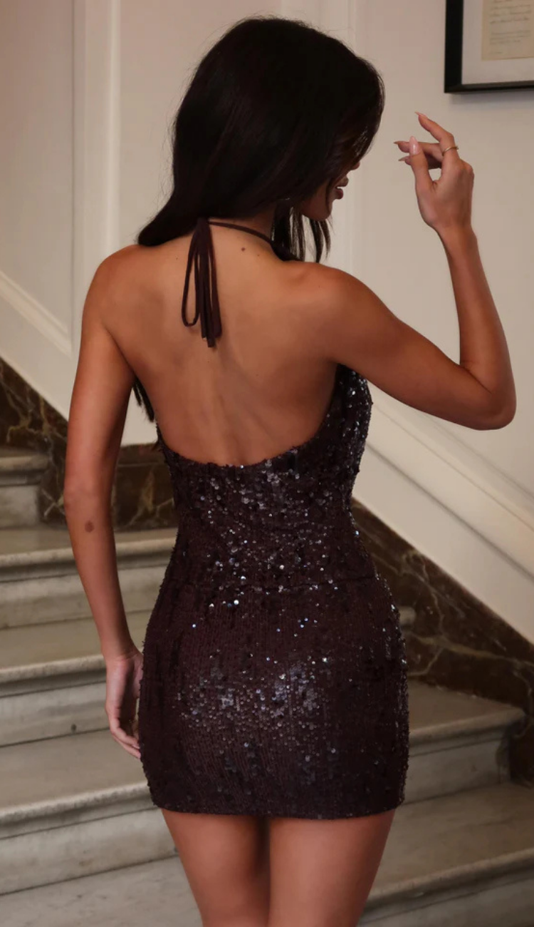 Bea Brown Sequin Mini Dress