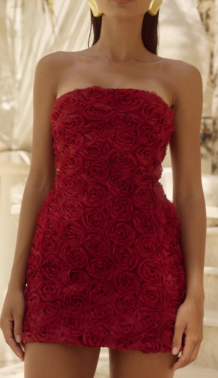 Amara Floral Burgundy Mini Dress