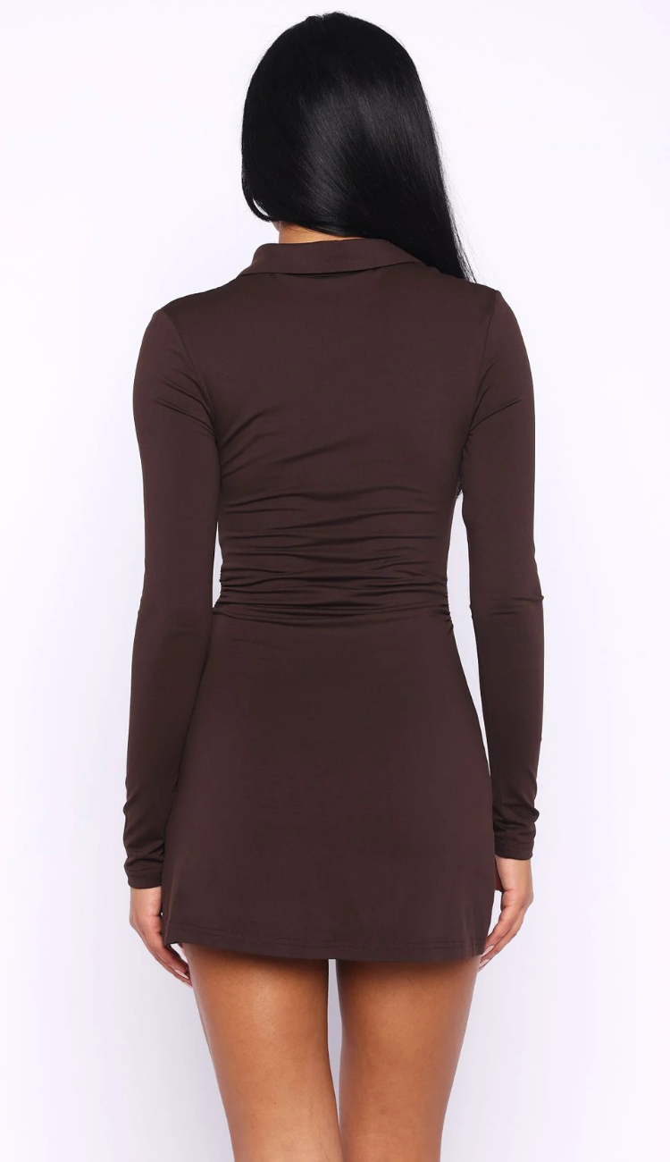 Opeli Brown Mini Dress