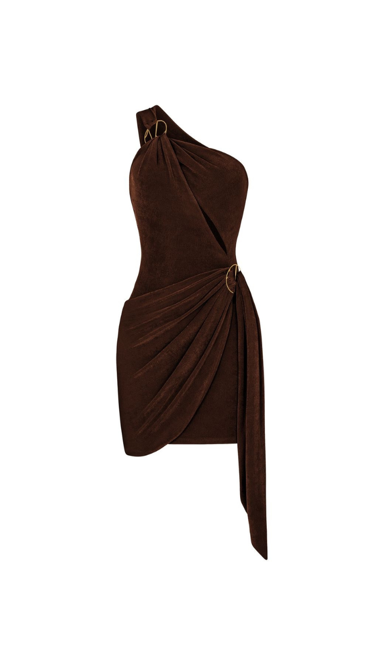 Lena Brown Asymmetrical Mini Dress