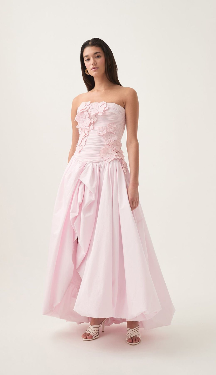 Isalyn Pink Gown