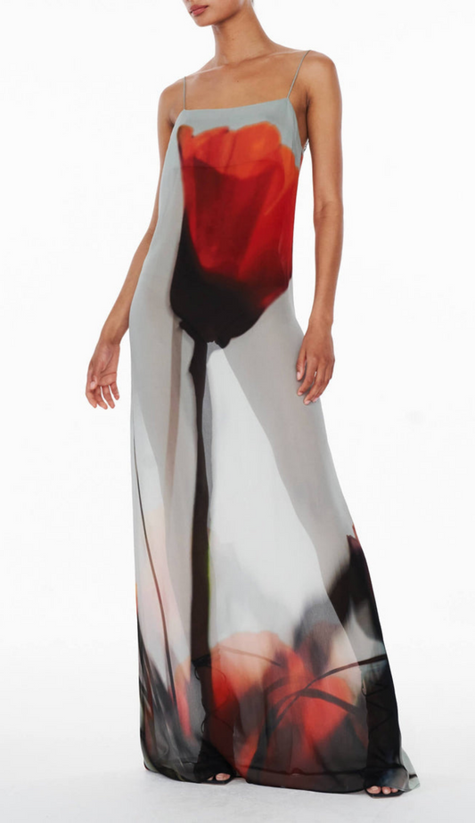 Jemma Sheer Maxi Dress