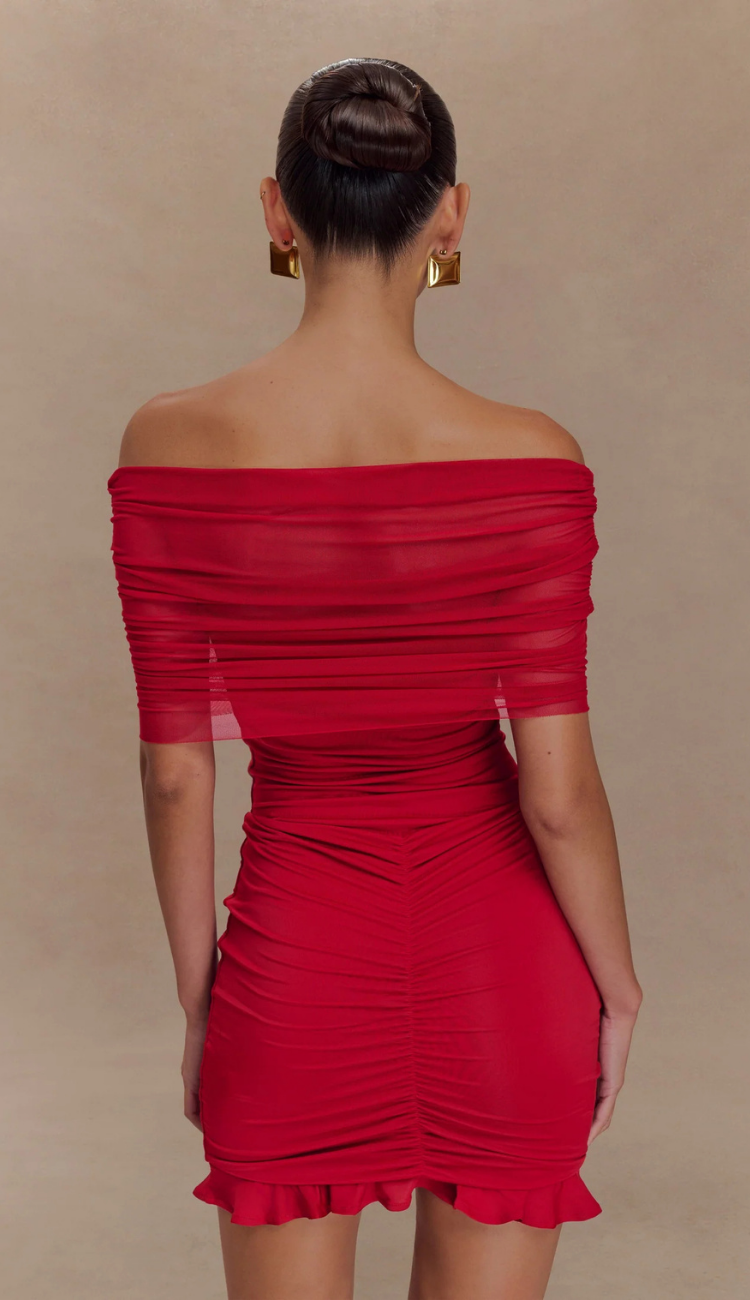 Cindy Red Mesh Mini Dress