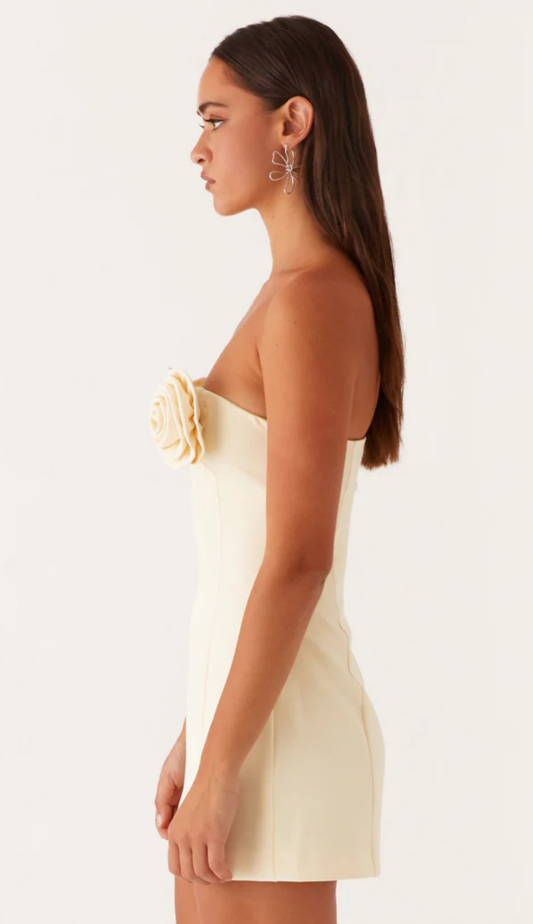 Manon Flora Ivory Mini Dress